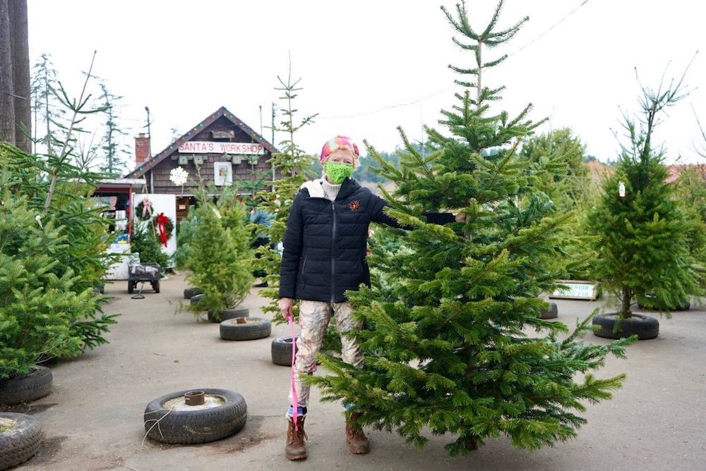 Less water, fewer farmers Why BC Christmas tree farms are at risk